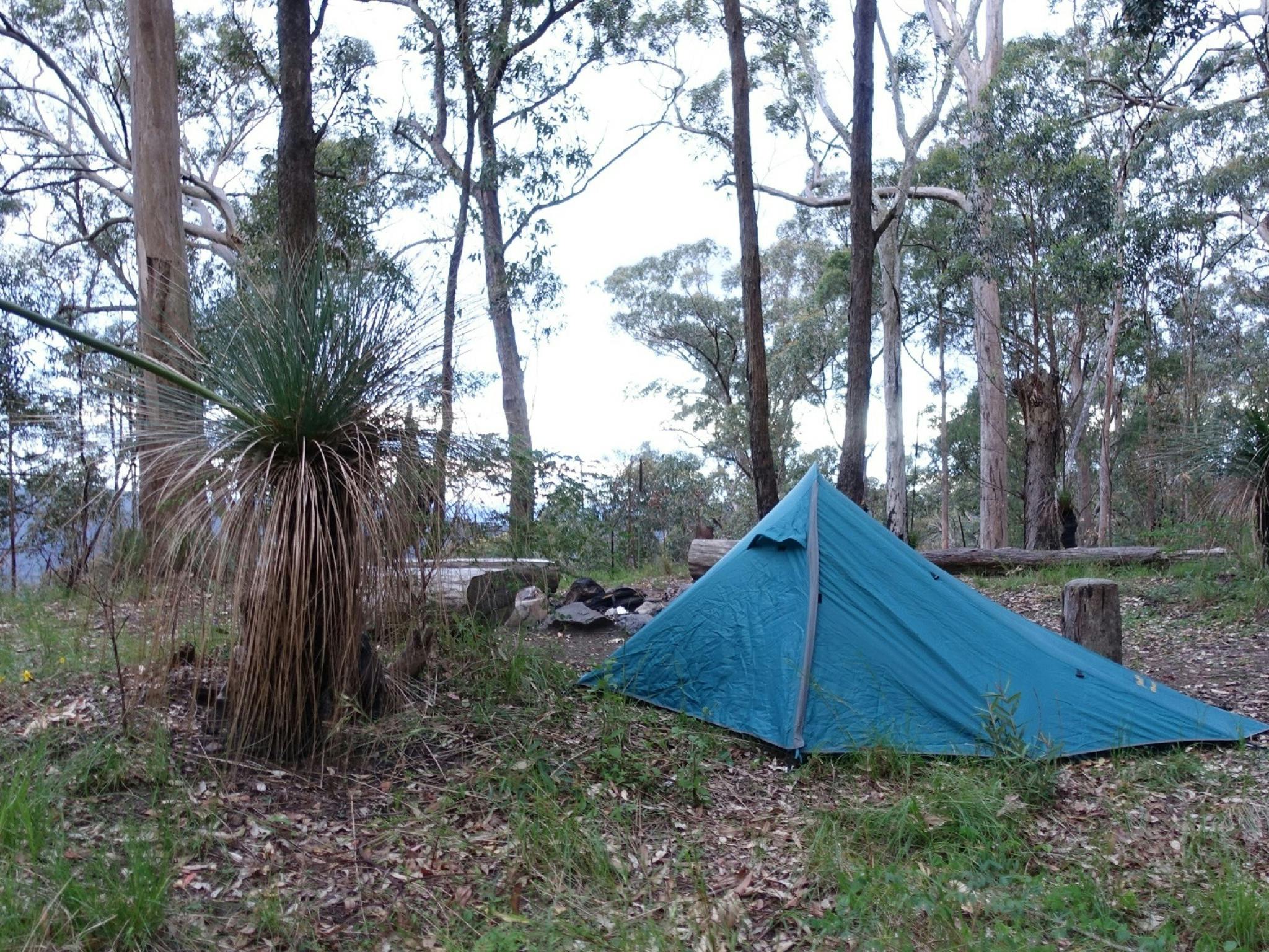 A tent set up in Northbrook Mountain Bush Camp with views in the distance