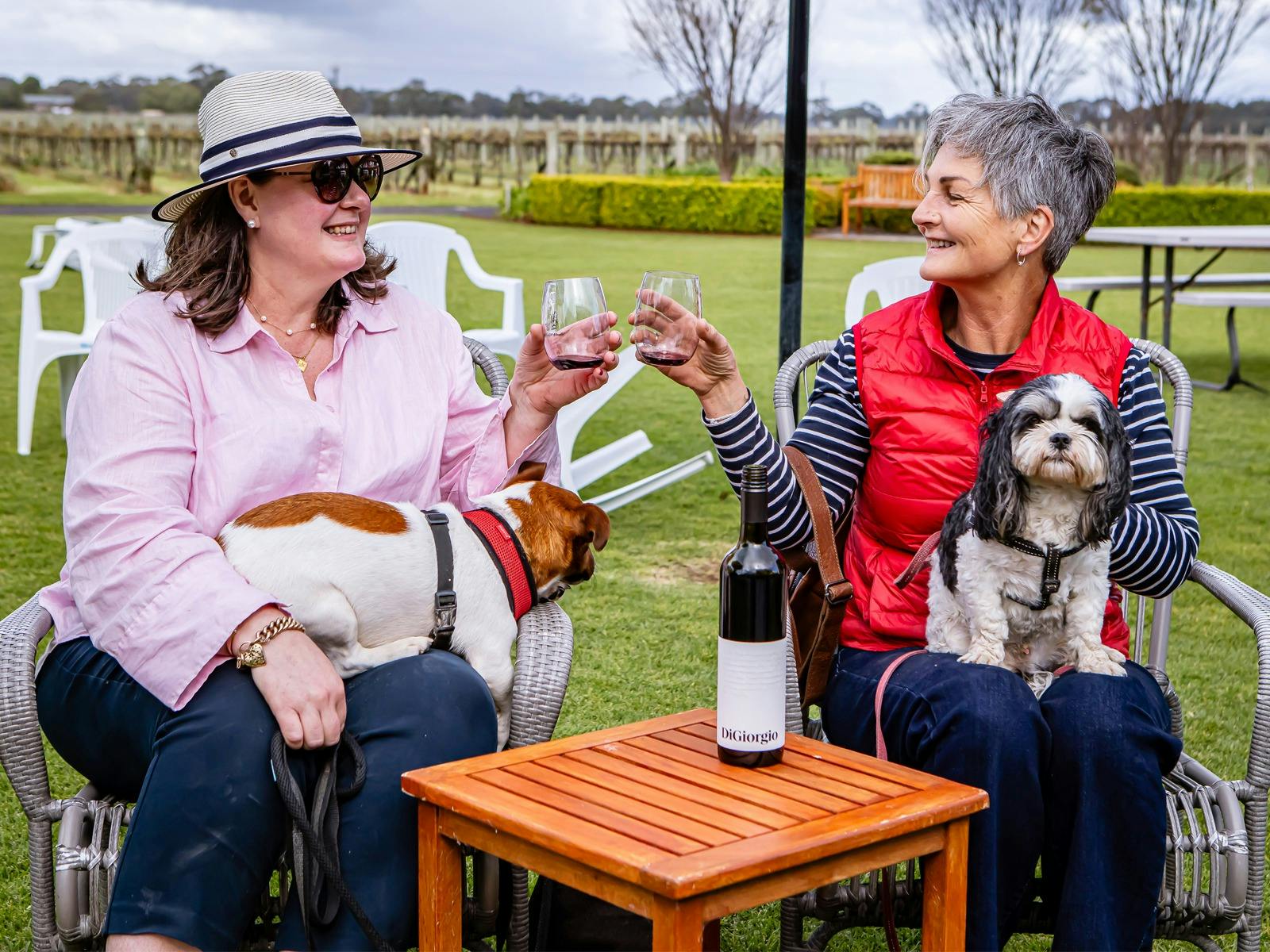ladies cheers wine glasses with dogs on lap