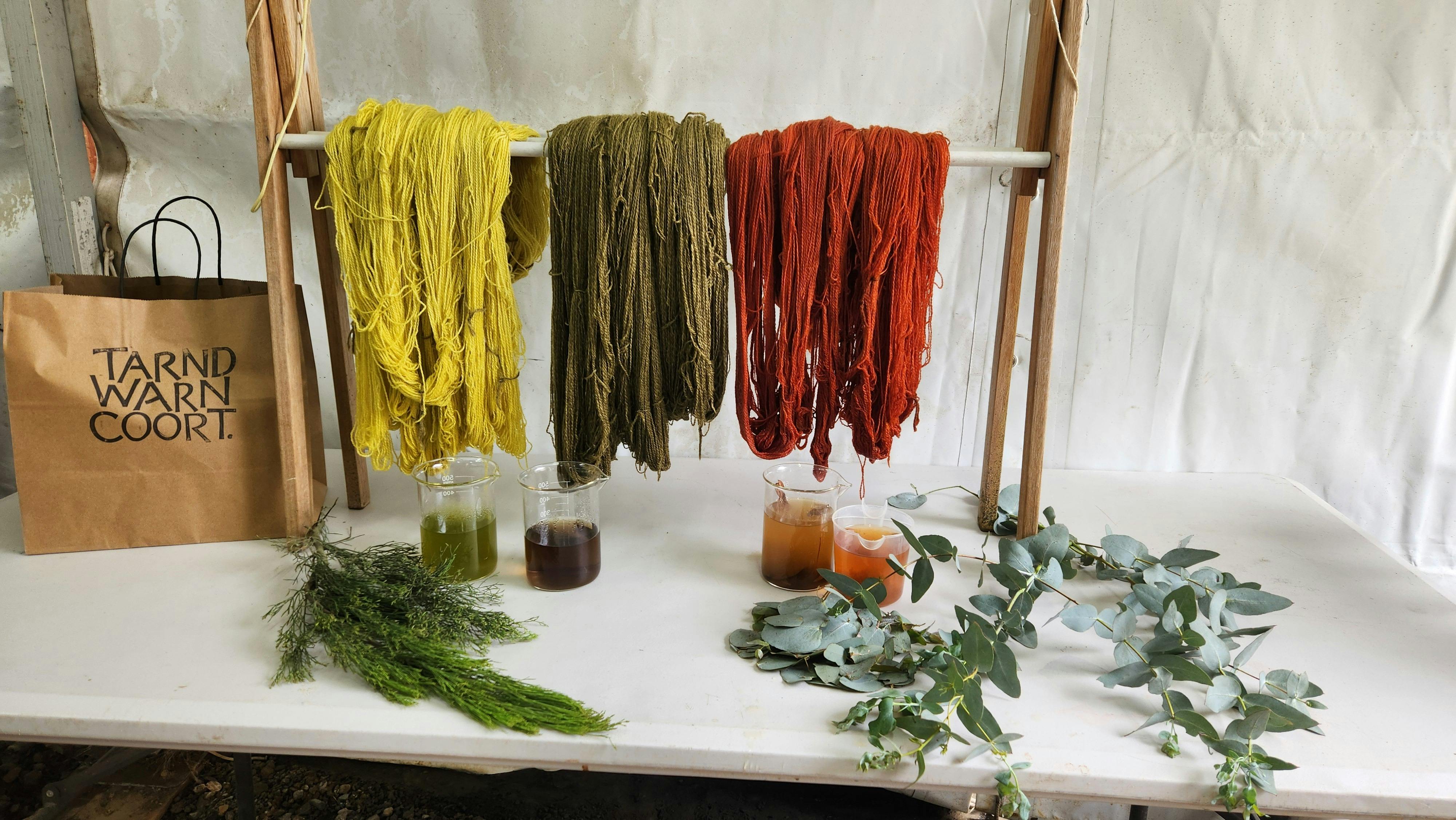 Plant dye on wool yarn workshop