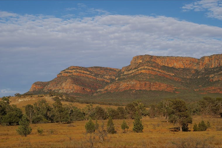 1 Day Central Flinders Highlights Tour