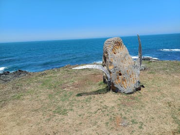 Noor'garr Walla (Whale Rock) Lookout