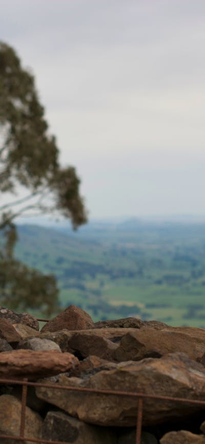 Gilmore Valley view from property entrance