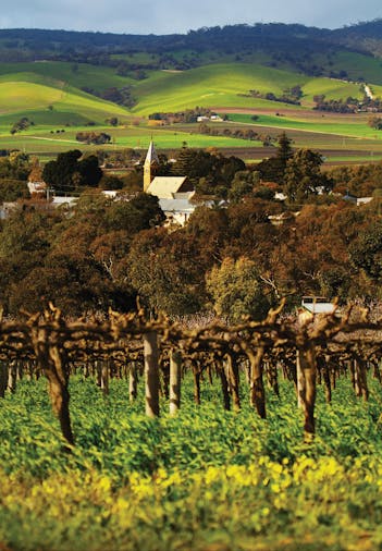 Barossa Valley Hop On Hop Off Wine Tour