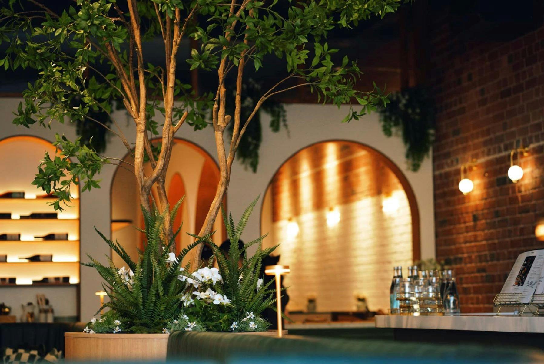 Cattleya Signature