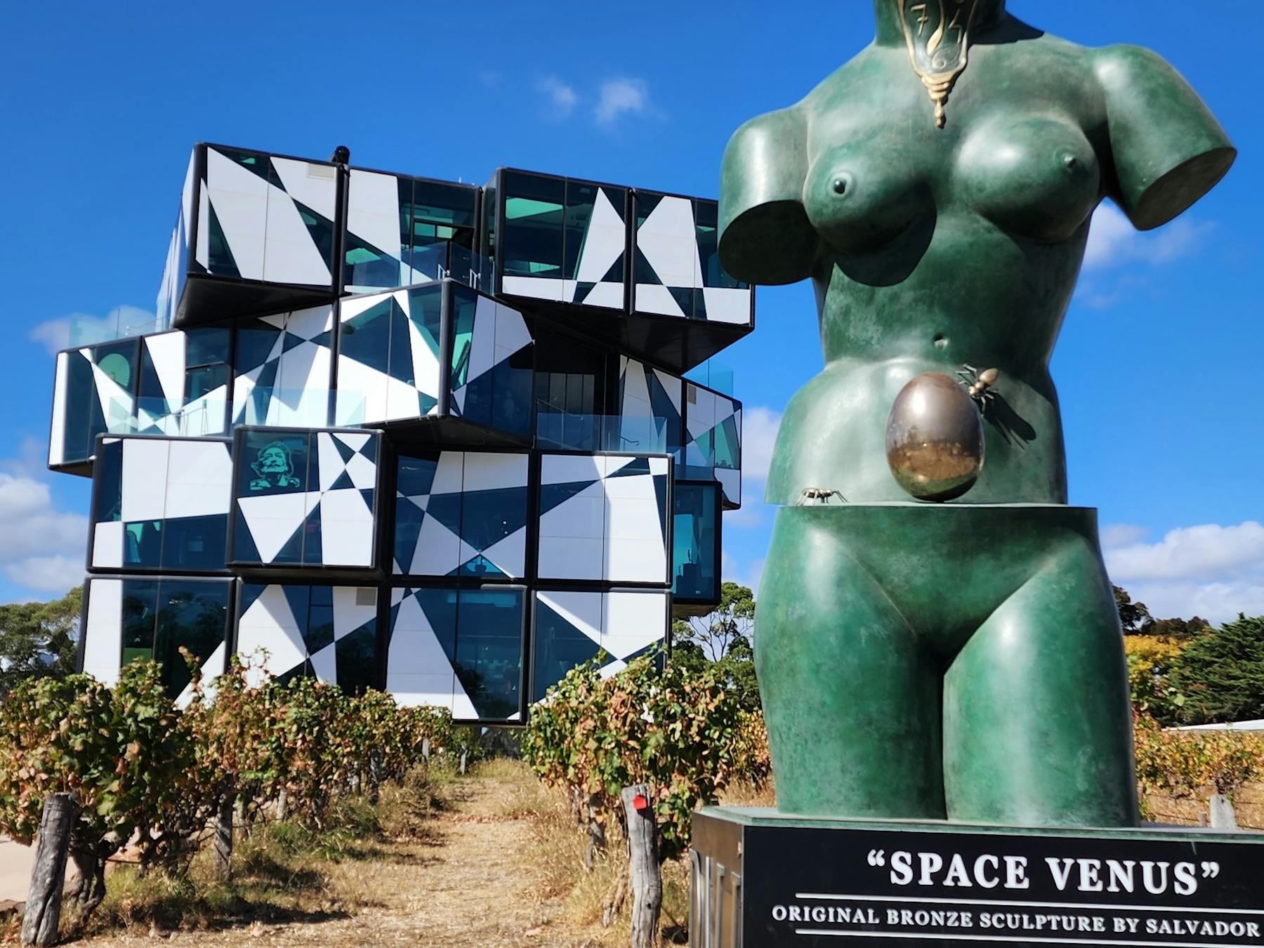 McLaren Vale winery tour to d'Arenberg Cube