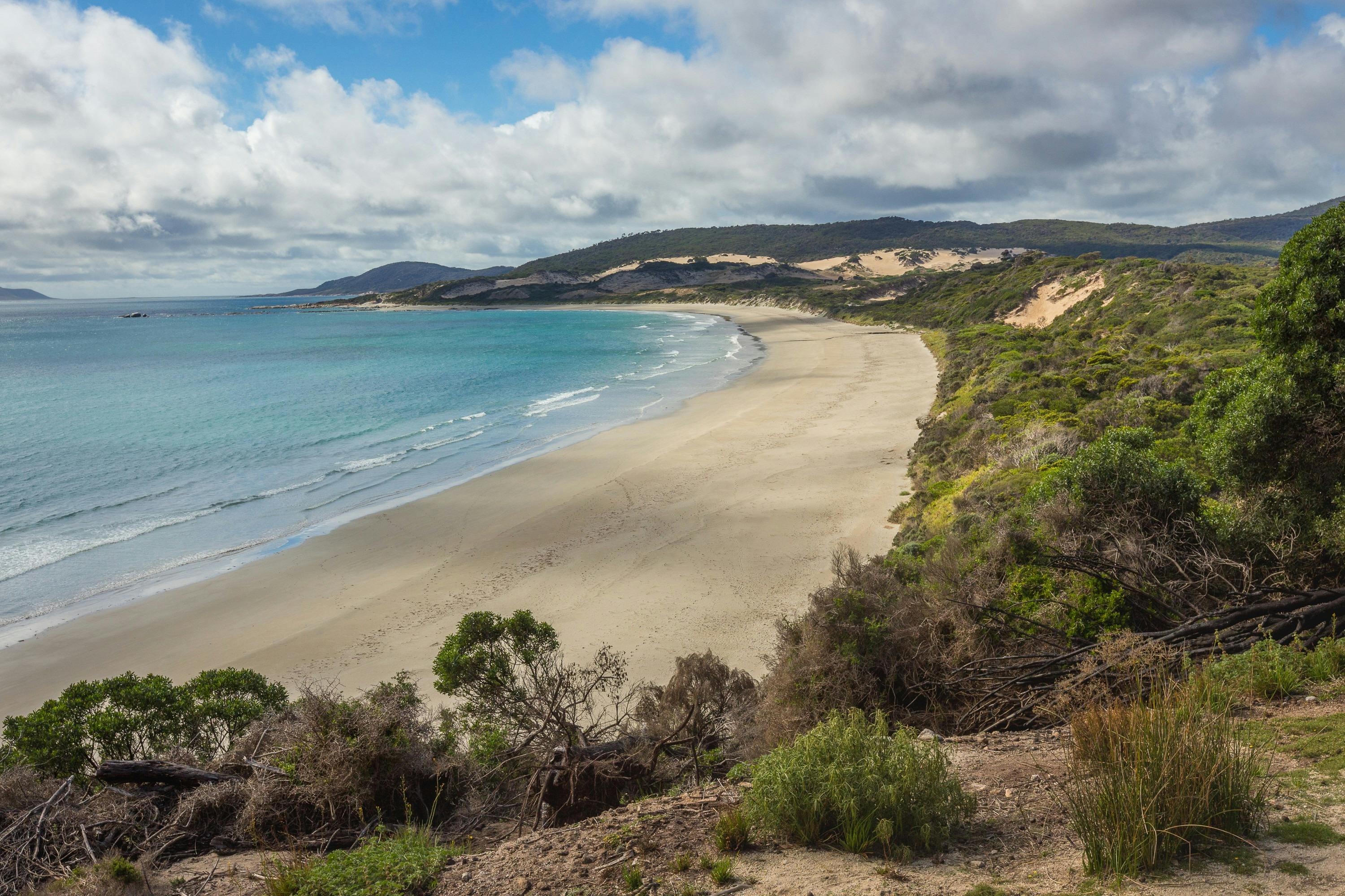 Palana Beach | Flinders Island Roaring 40s Tours and Shuttles