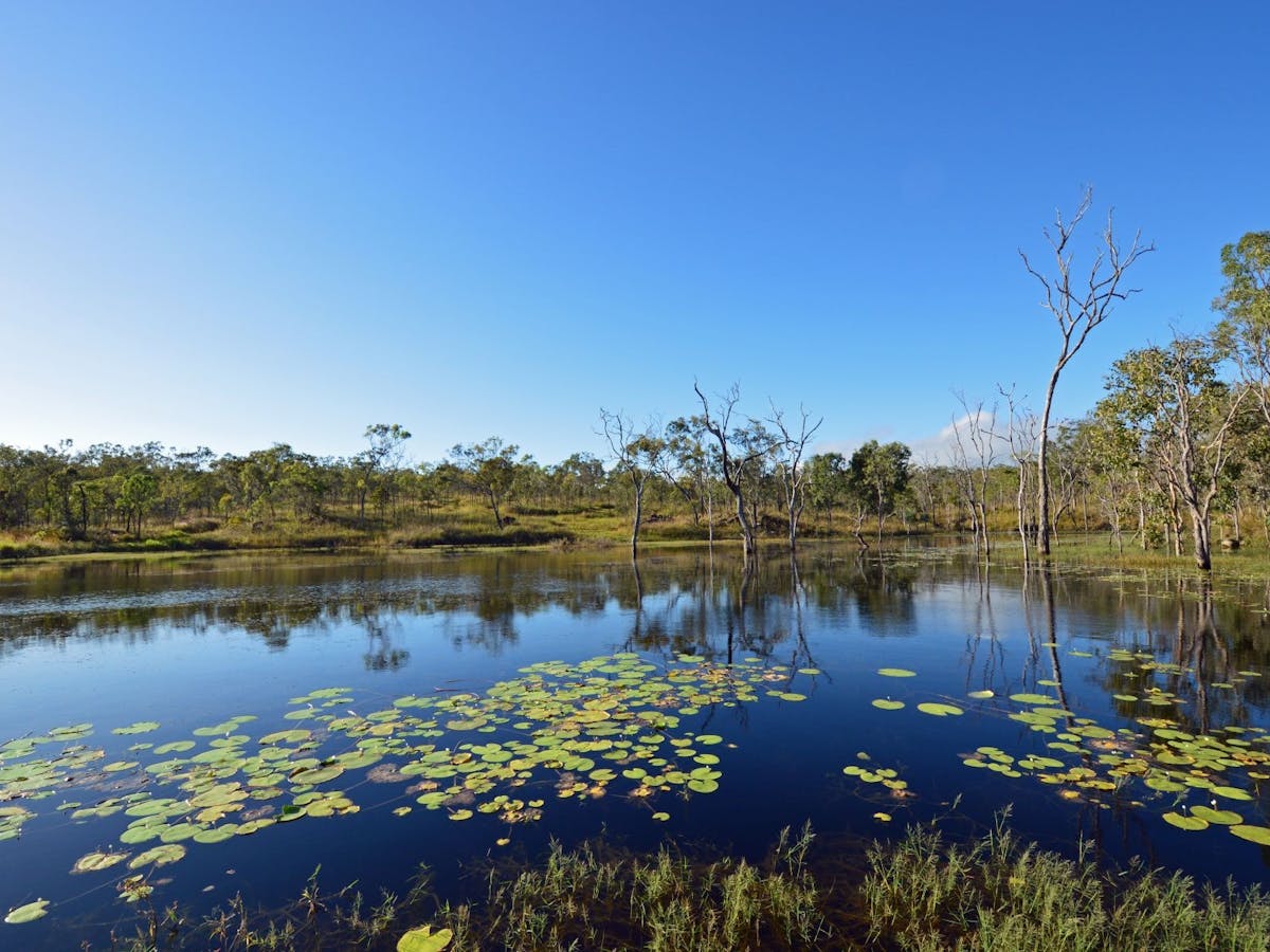 Mareeba Bush Stays