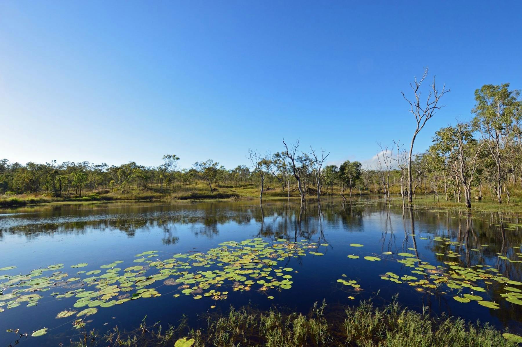 Mareeba Bush Stays