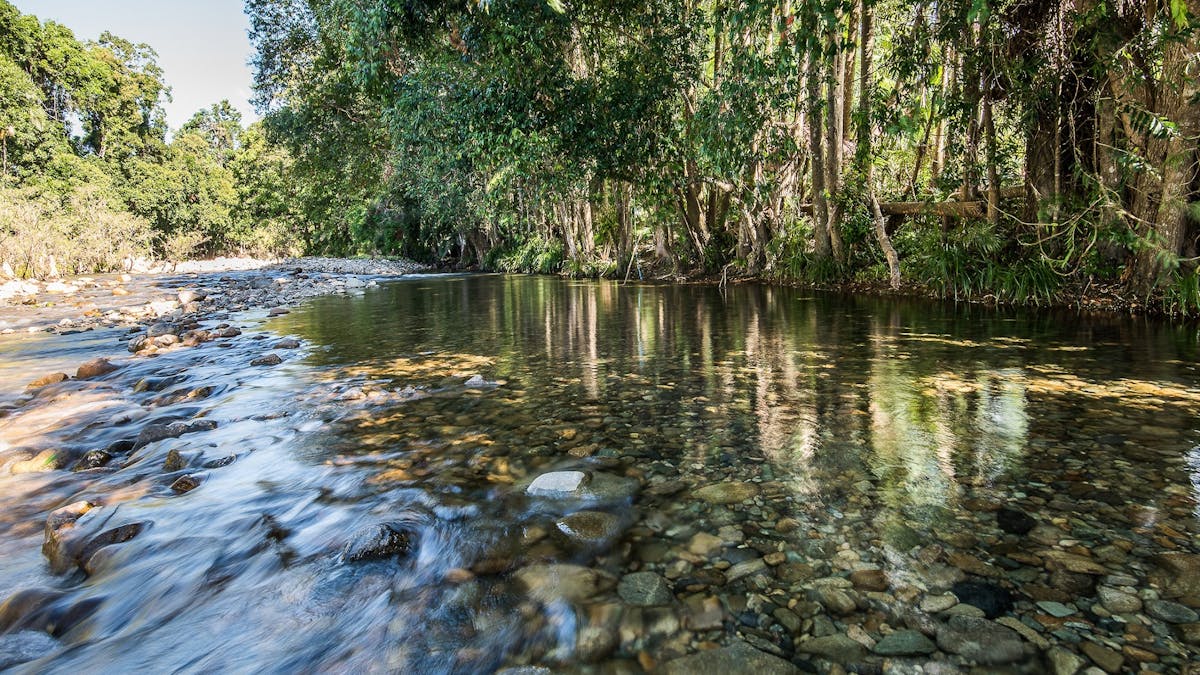 shambahla creek