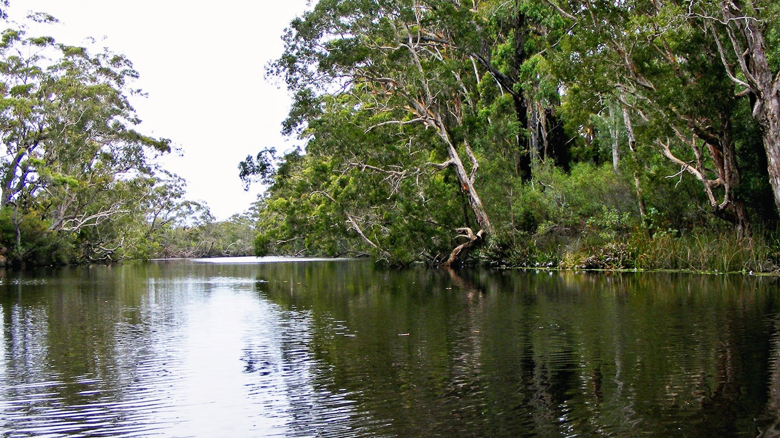 Esk River