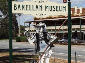 Barellan image