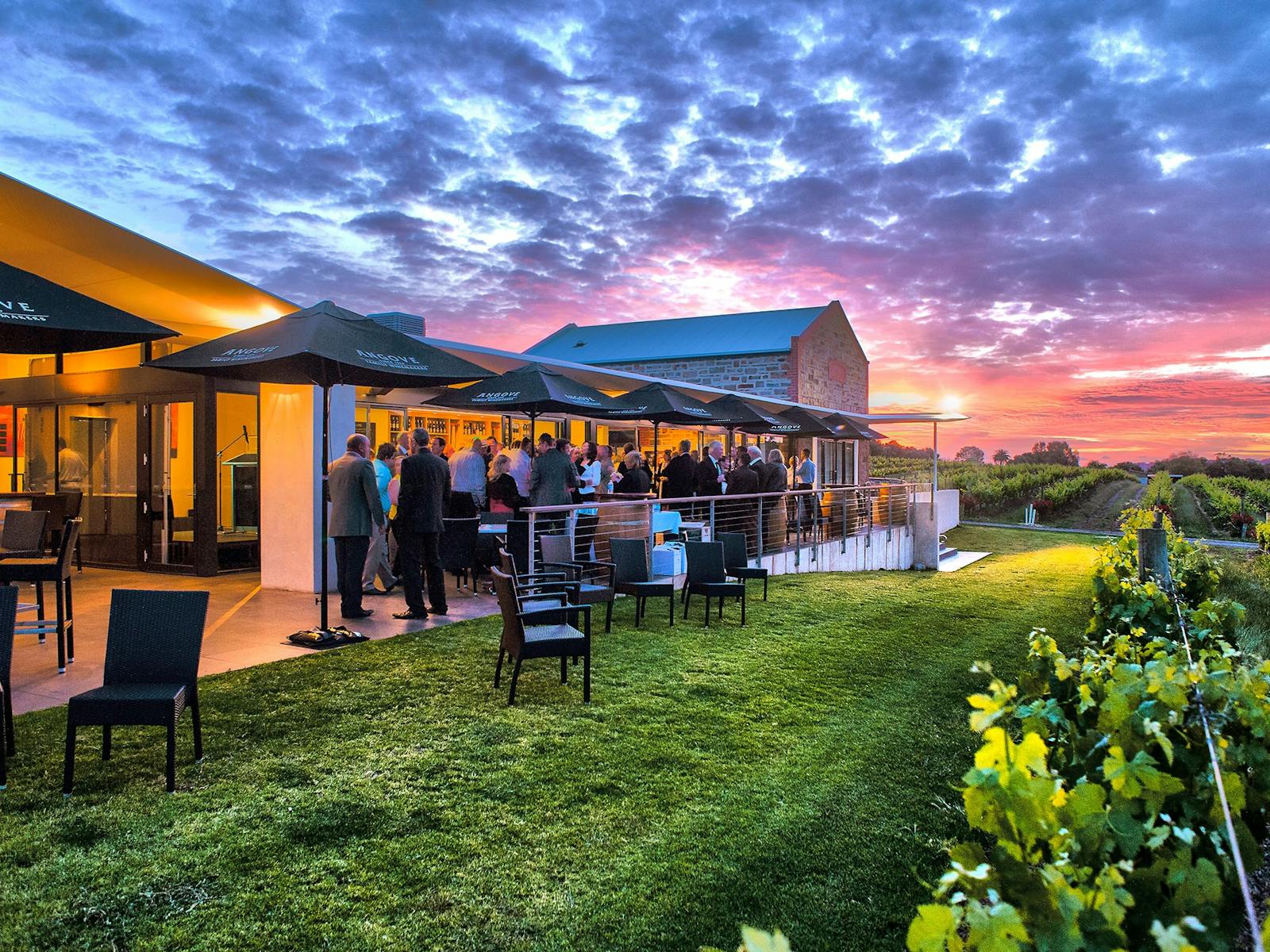 Relax on the terrace at Angove McLaren Vale Cellar Door