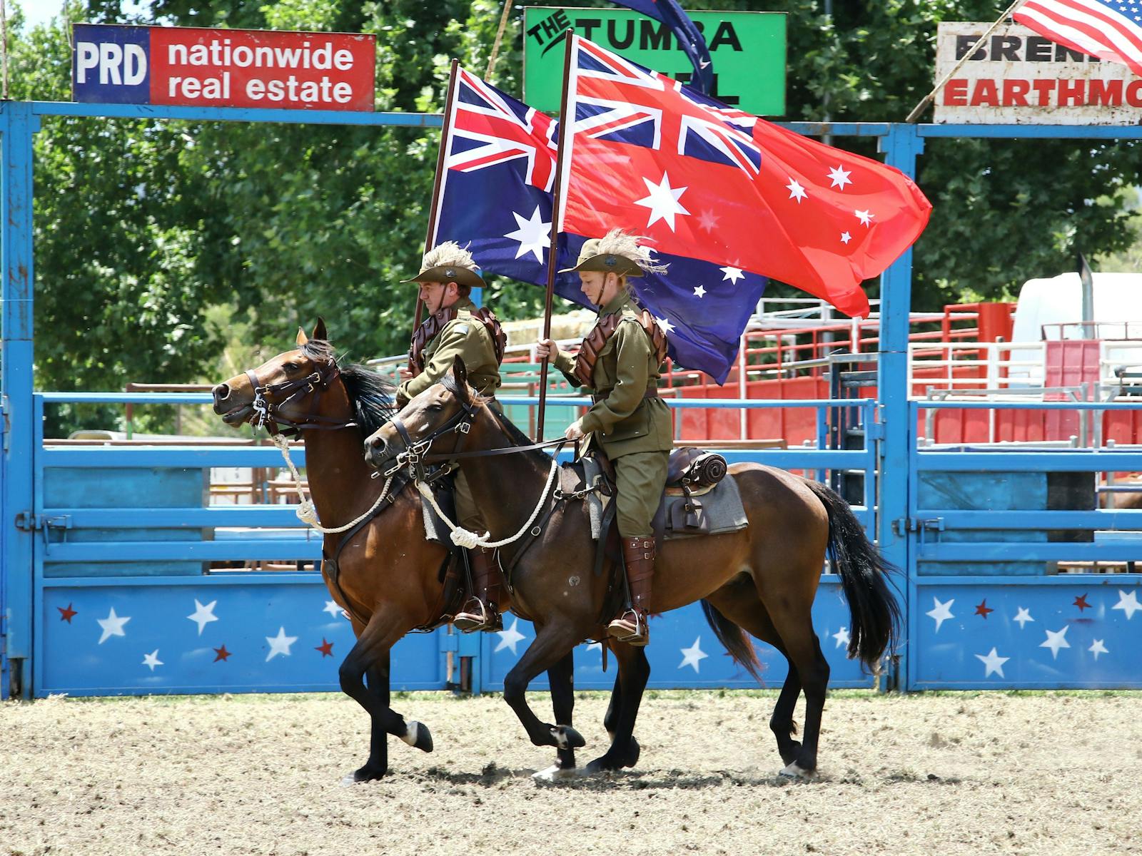 Light Horse Display