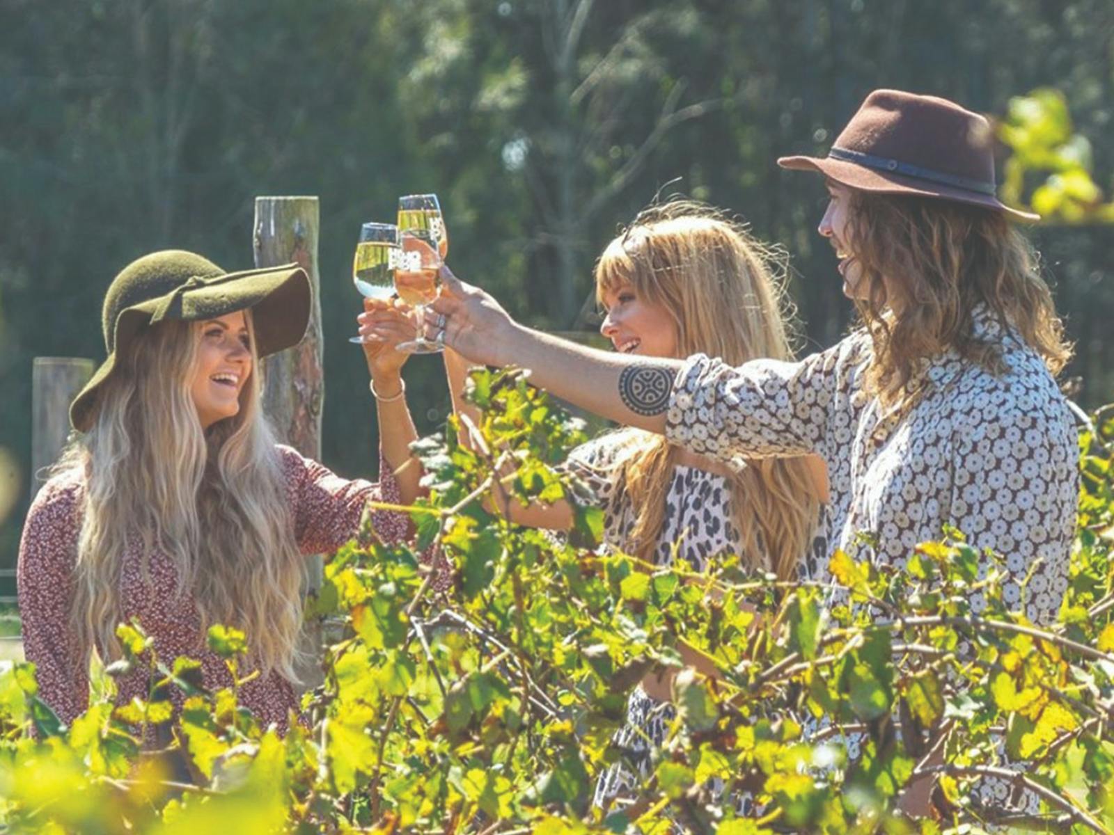Image for Pinot and Picasso at Hope Estate