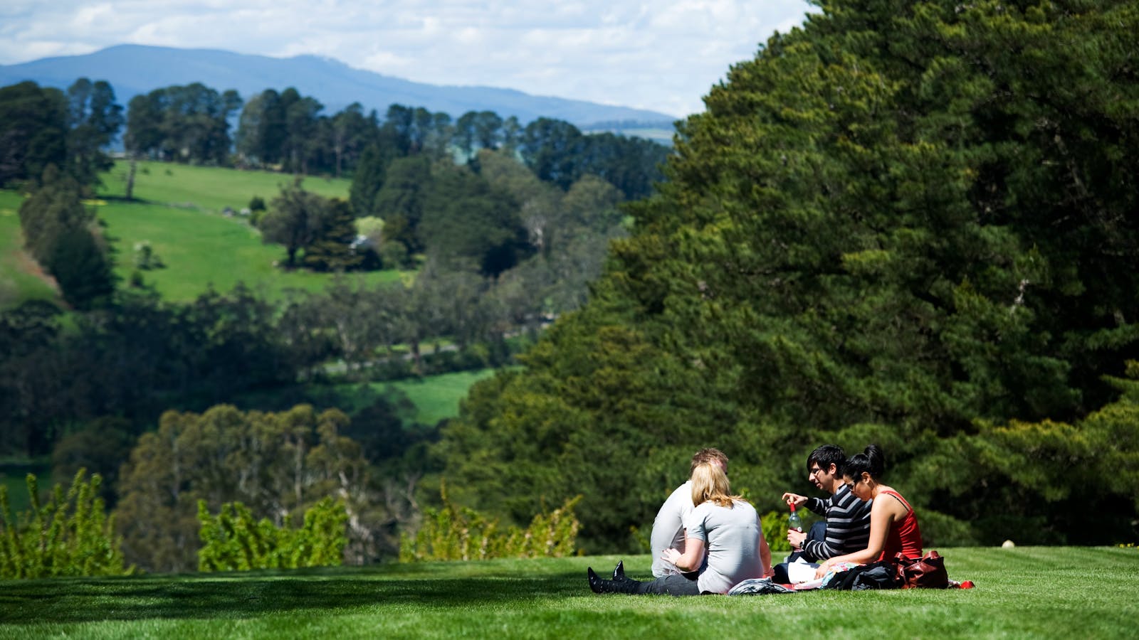 Seville Hill