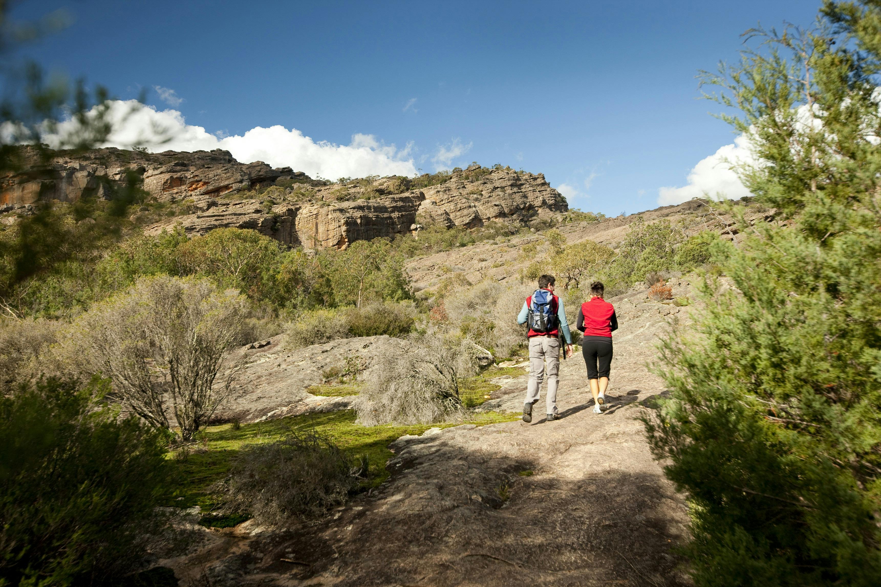 Couple walking along bush trail in the Grampians
