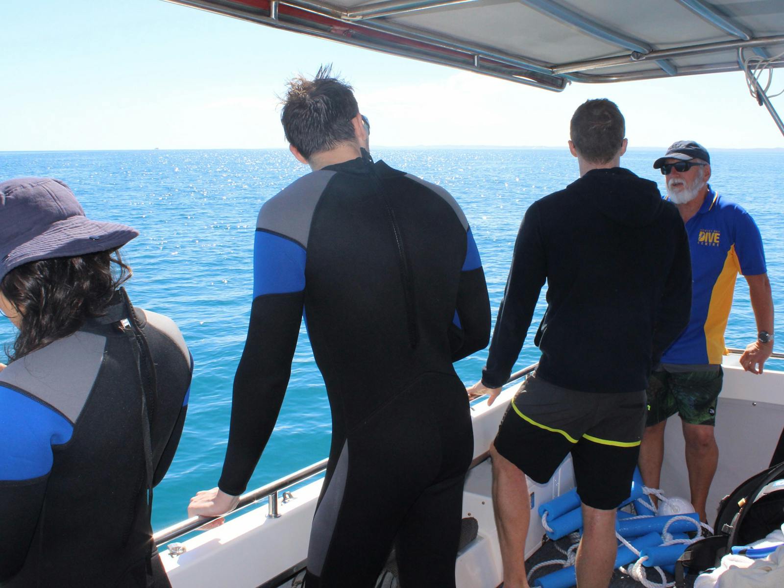 whale swimmers in wetsuits