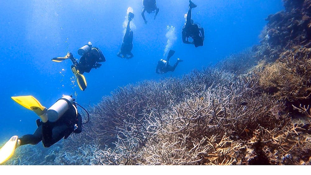 Remote Area Dive