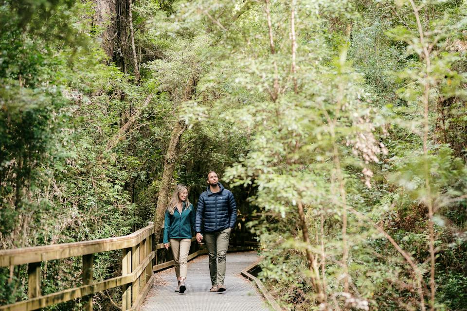 Gordon River Cruises photo