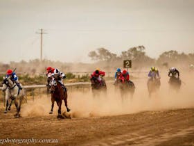 Brewarrina Races Cover Image