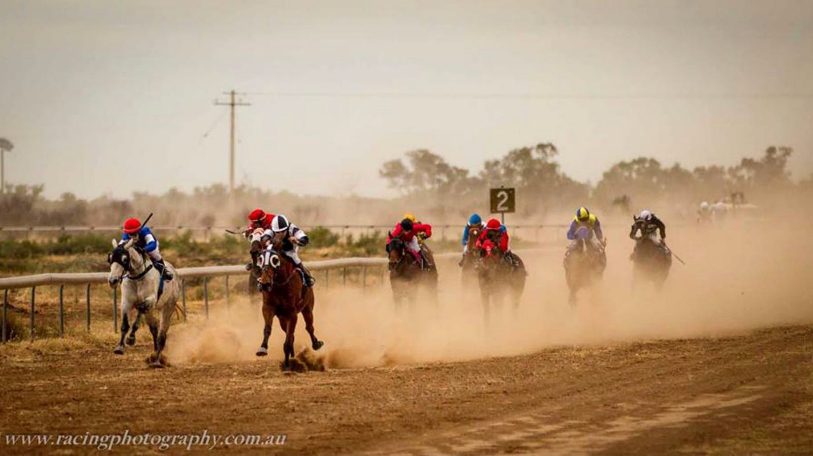 Image for Brewarrina Races