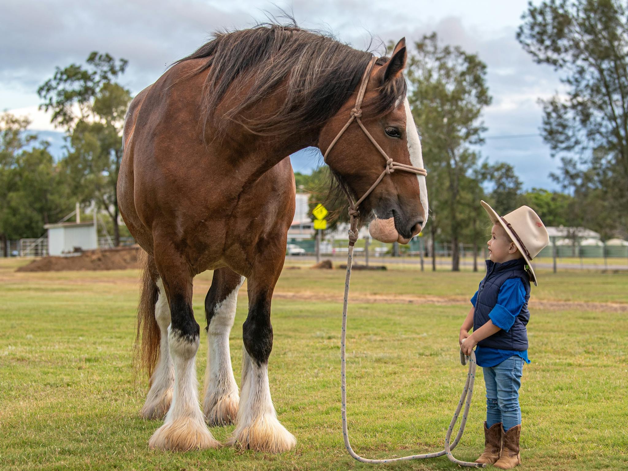 Big Horse Little Person Big Horse Little Person