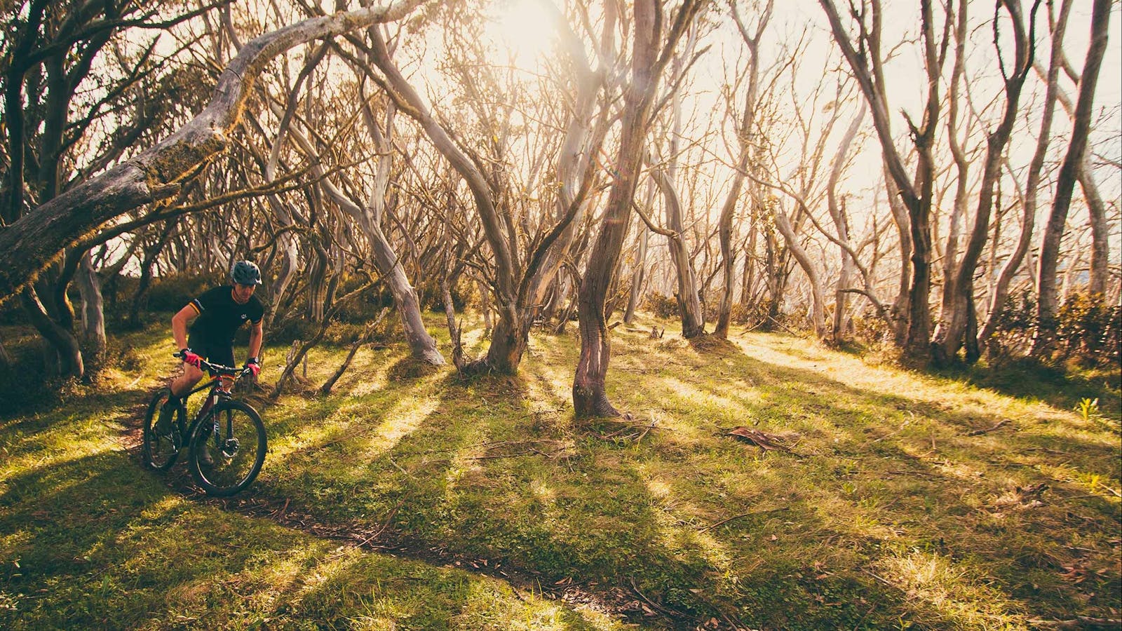 Australian Alpine Epic Mountain Bike Trail
