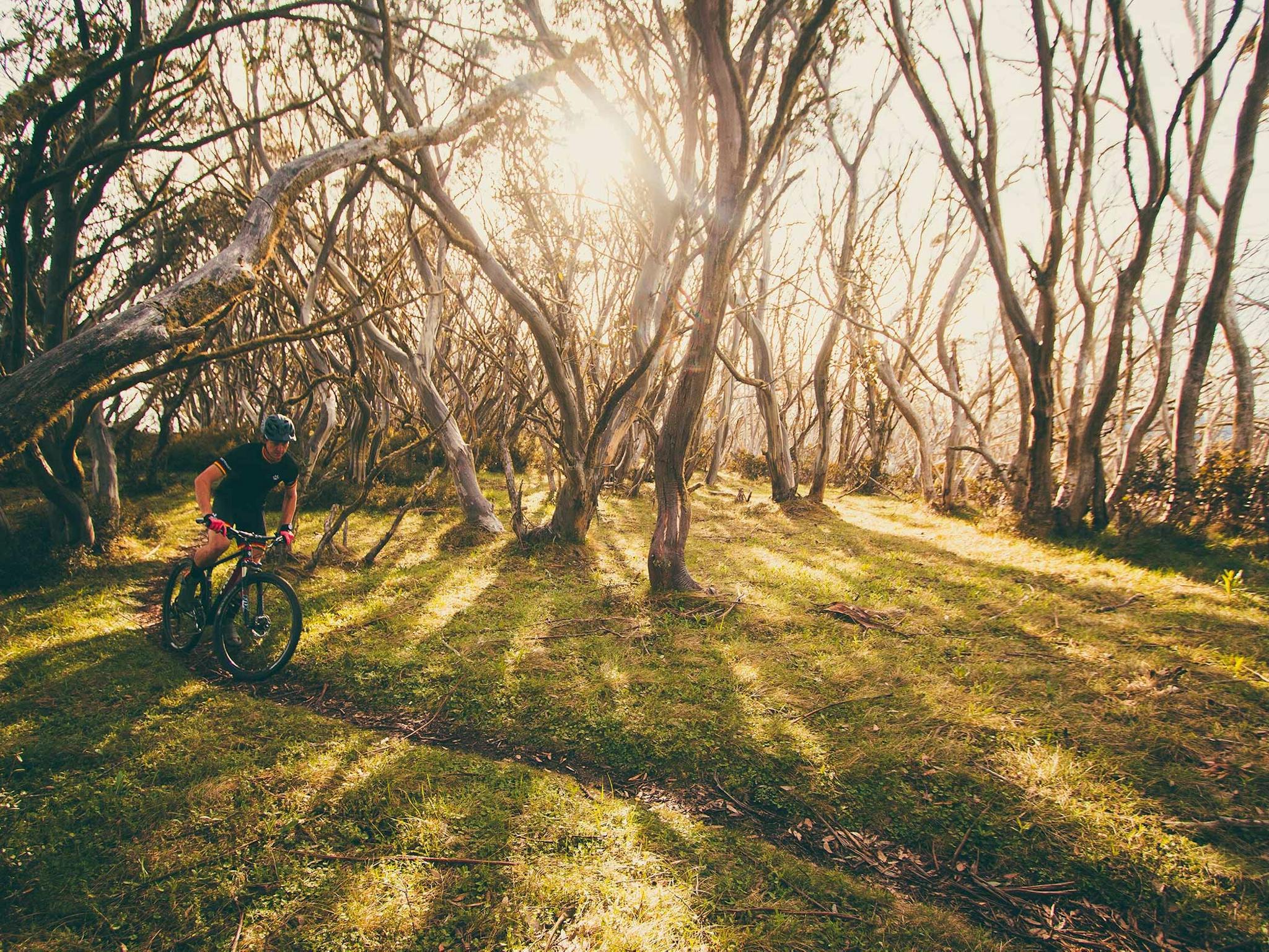 Australian Alpine Epic Trail MTB Bike Buller IMBA