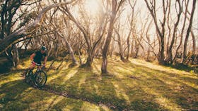 Australian Alpine Epic Mountain Bike Trail