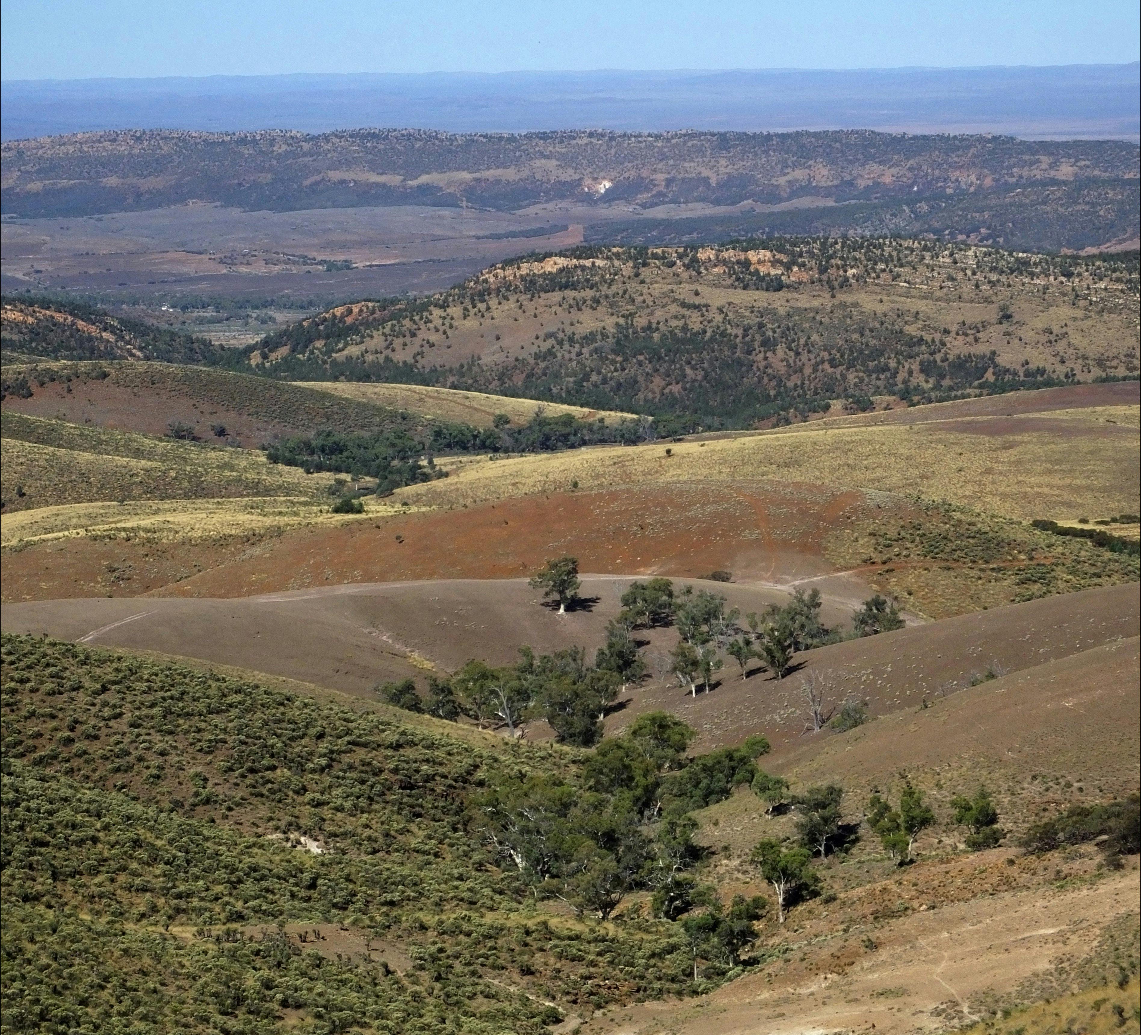 Flinders Experience 4WD Tours