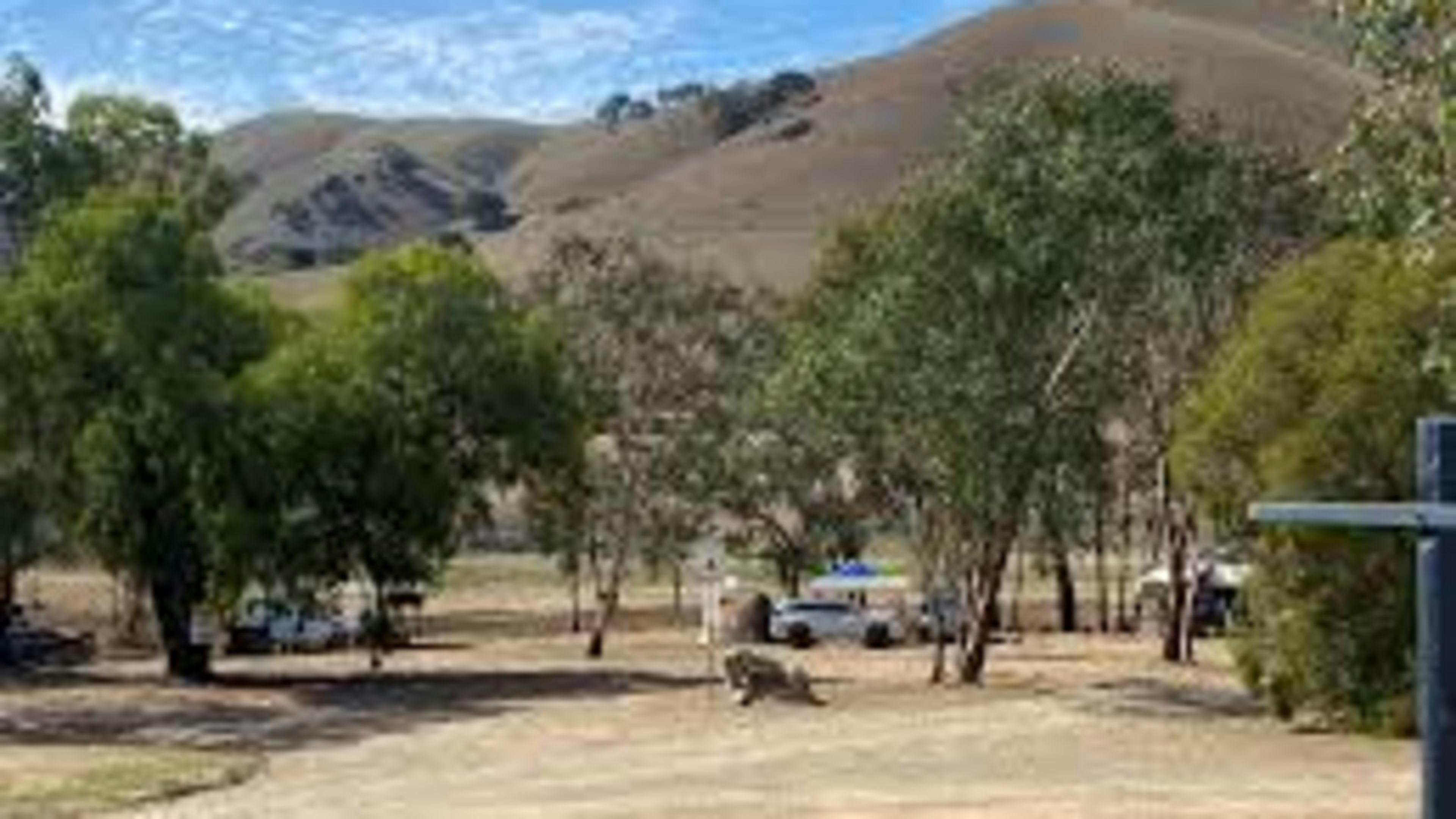 Lake Burrinjuck Leisure Resort