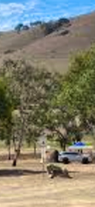 Lake Burrinjuck Leisure Resort