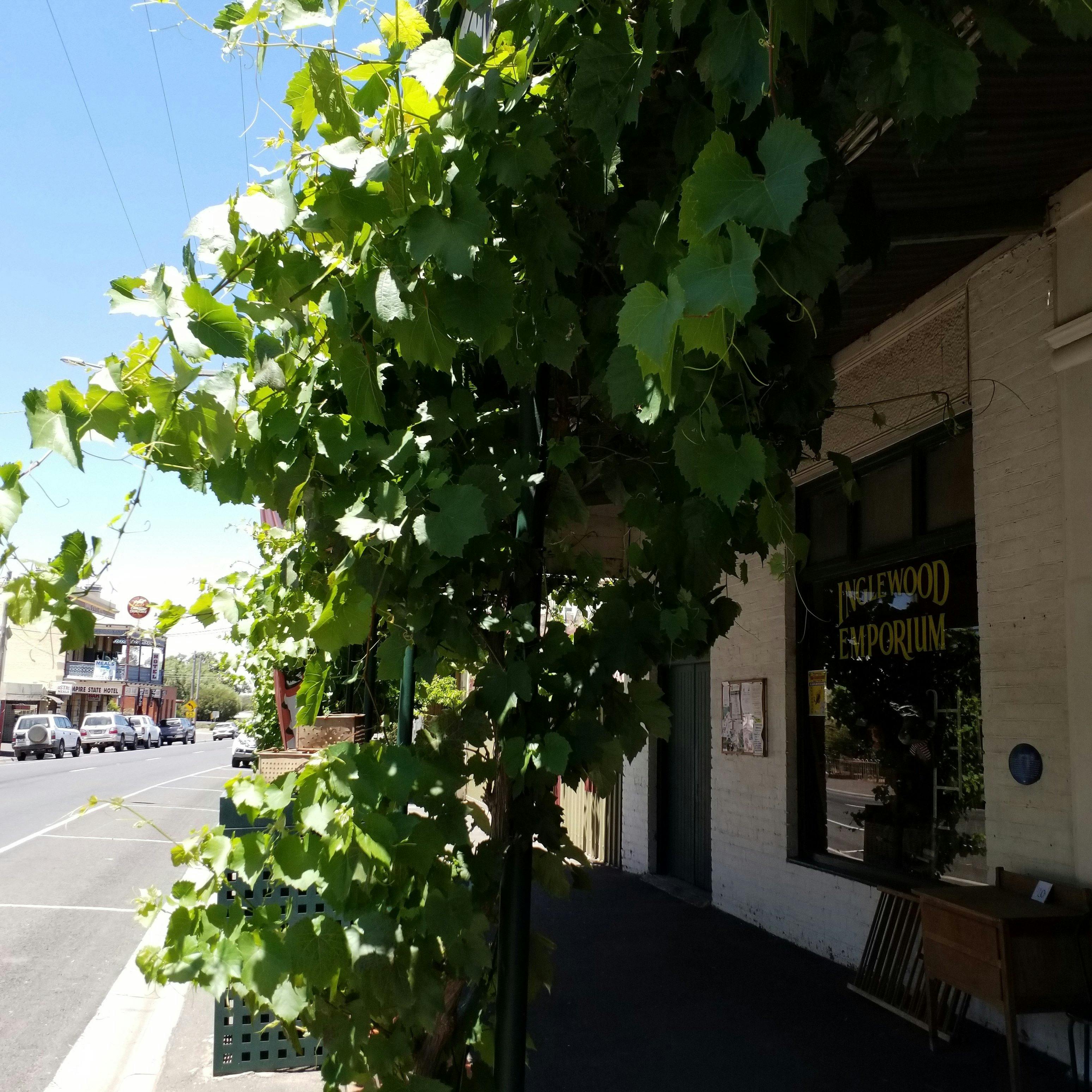 Streetscape of front of Inglewood Emporium