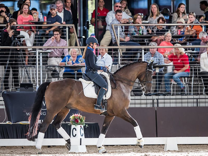 Image for Dressage by the Sea