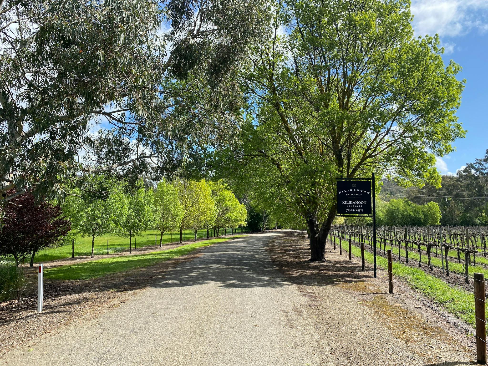 wine tours clare valley