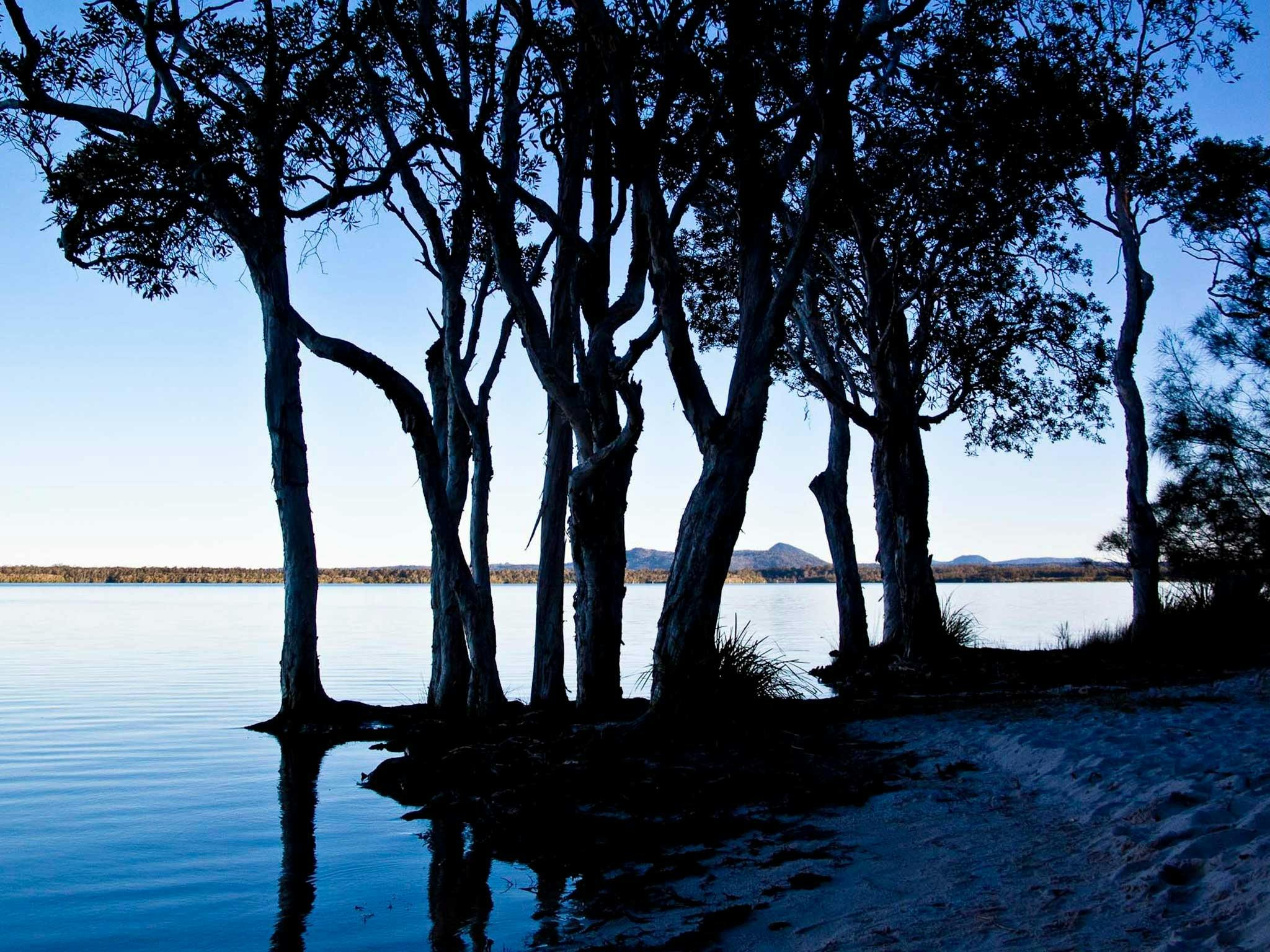 Lake Cootharaba Lake Cootharaba