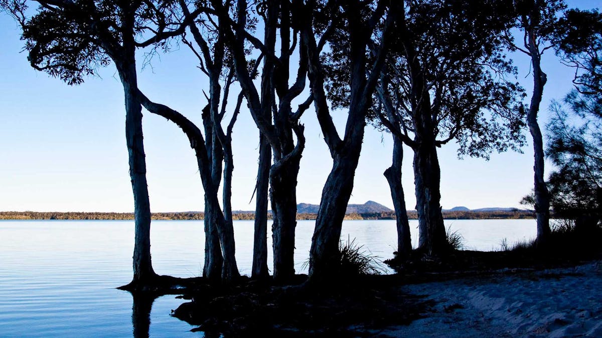 Lake Cootharaba