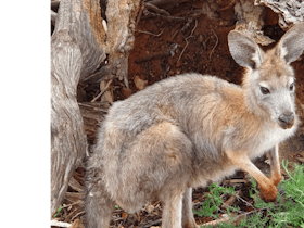 you can get up close and personal with birdlife, wildlife and help in feeding our stock