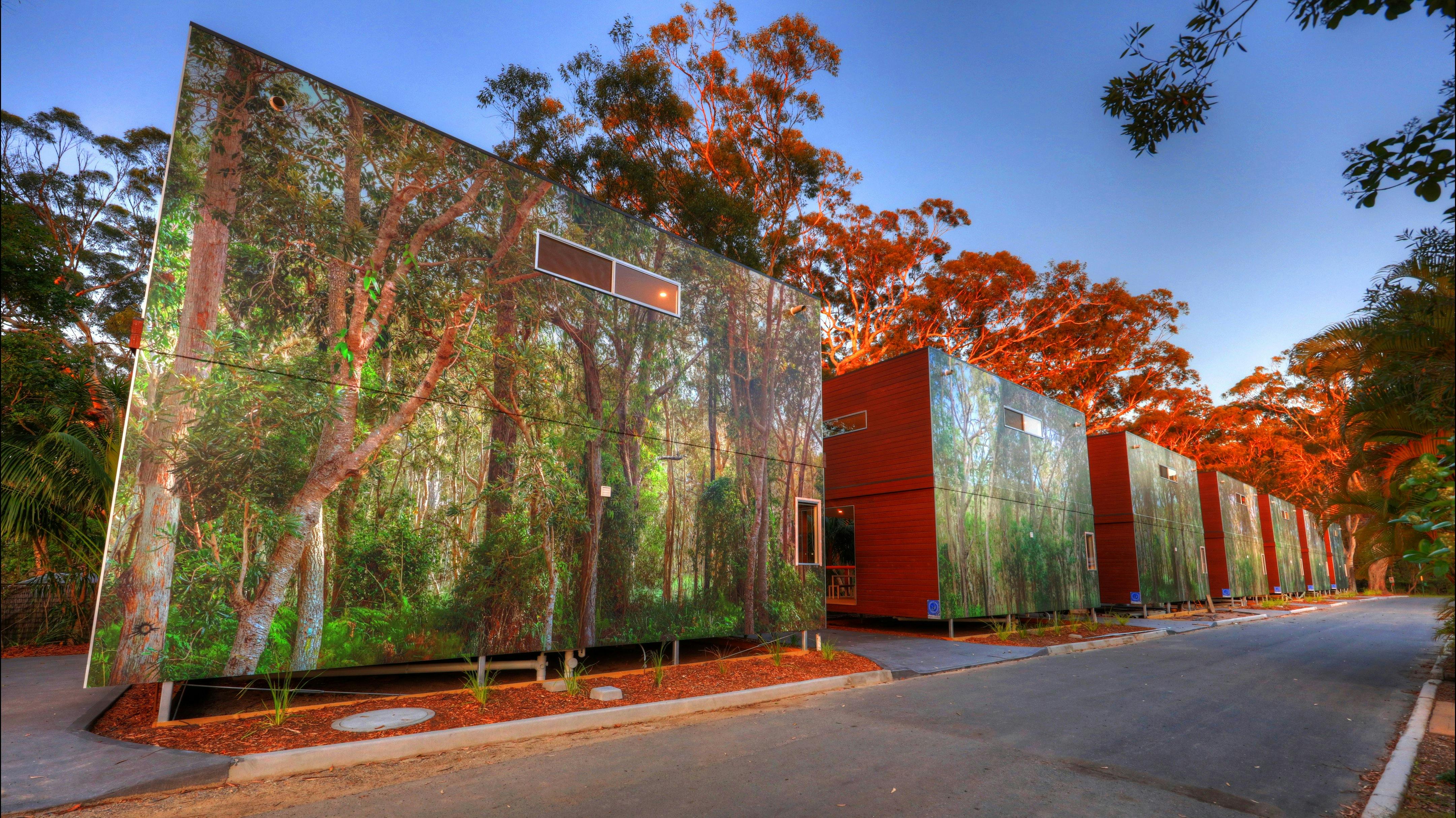 They blend into the landscape