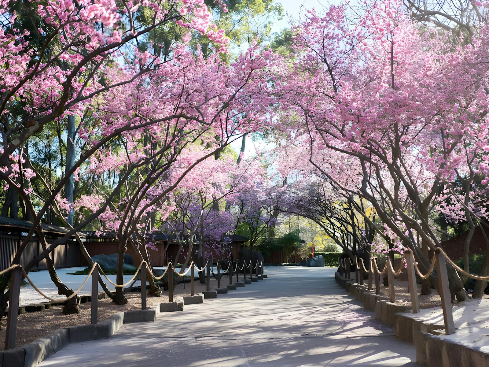 Auburn Botanical Gardens
