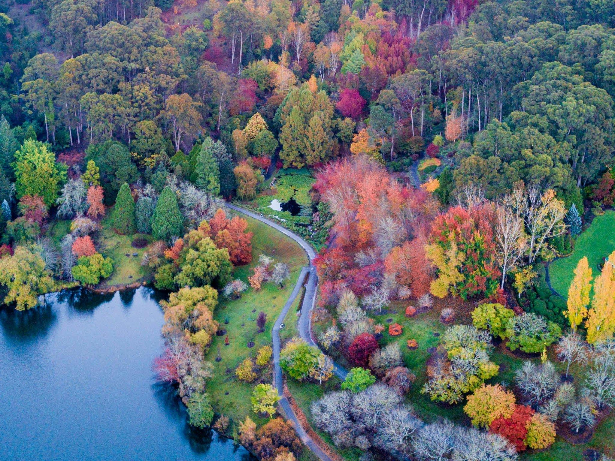 Mt Lofty Botanic Garden