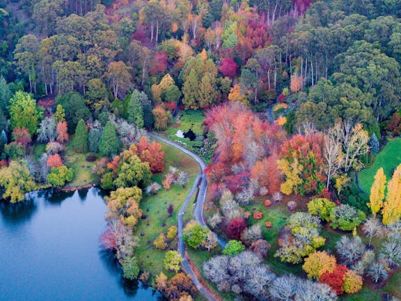 Mount Lofty Botanic Garden