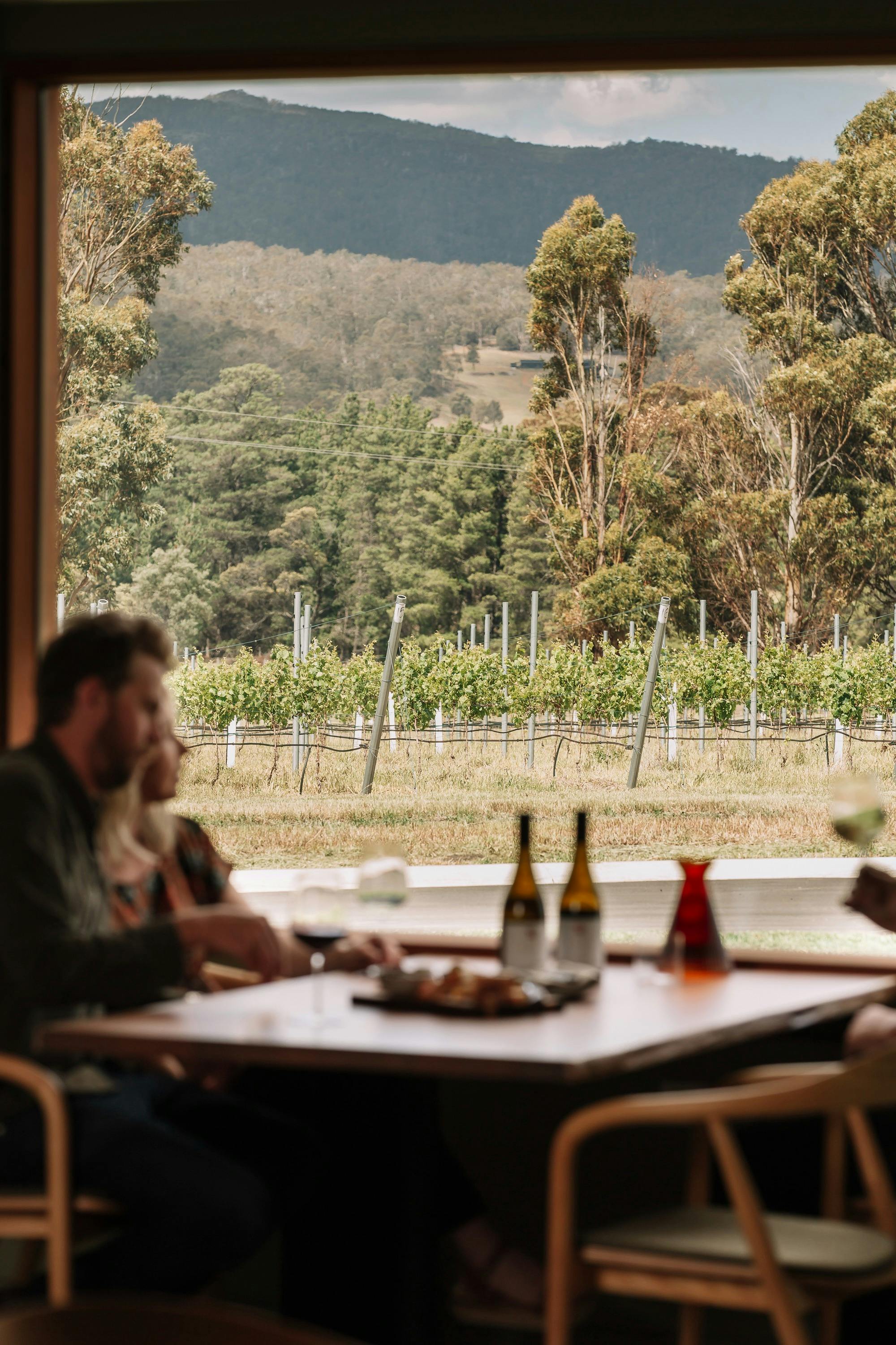 Sisu Winery Coal River Valley Cellar Door Tasting