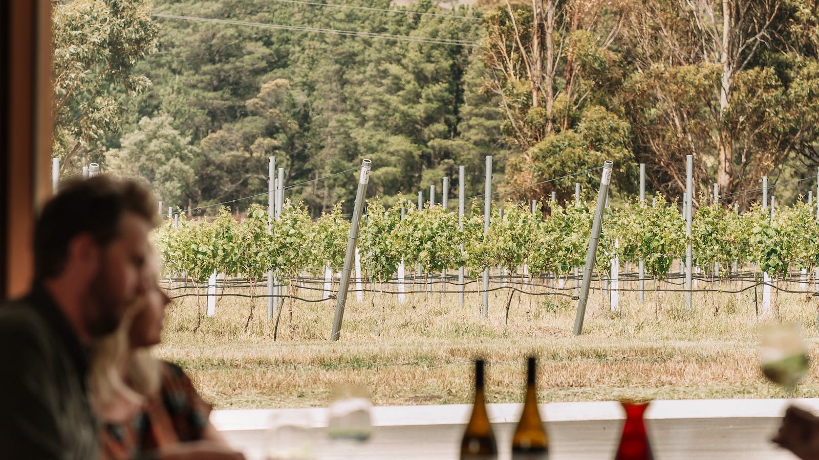 SISU WINERY CELLAR DOOR