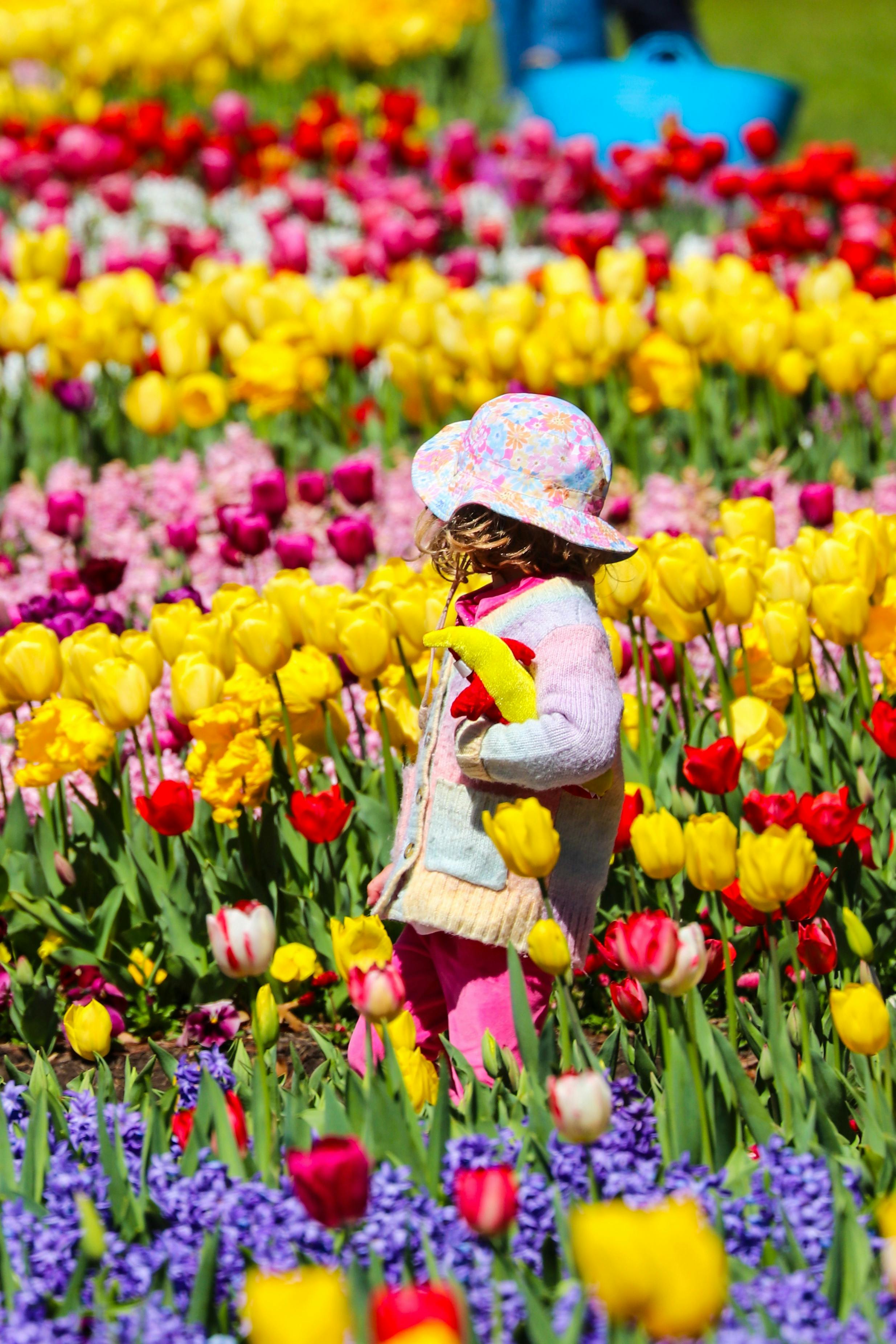 Child wandering through Floriade