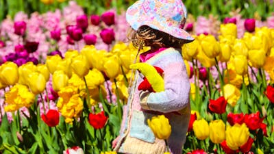 Child wandering through Floriade