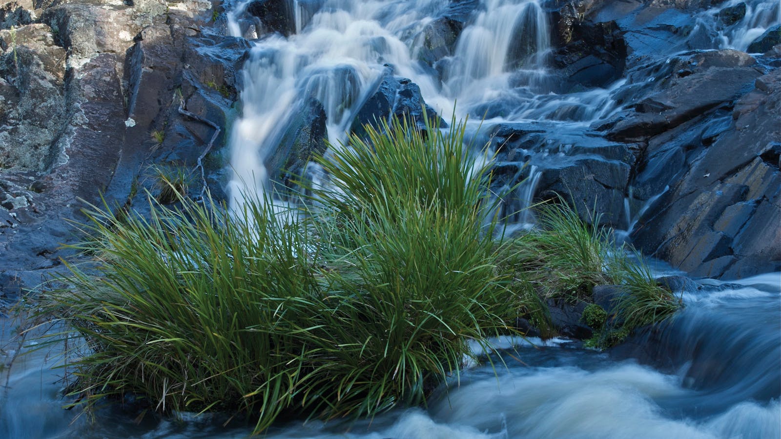 Snowy River National Park