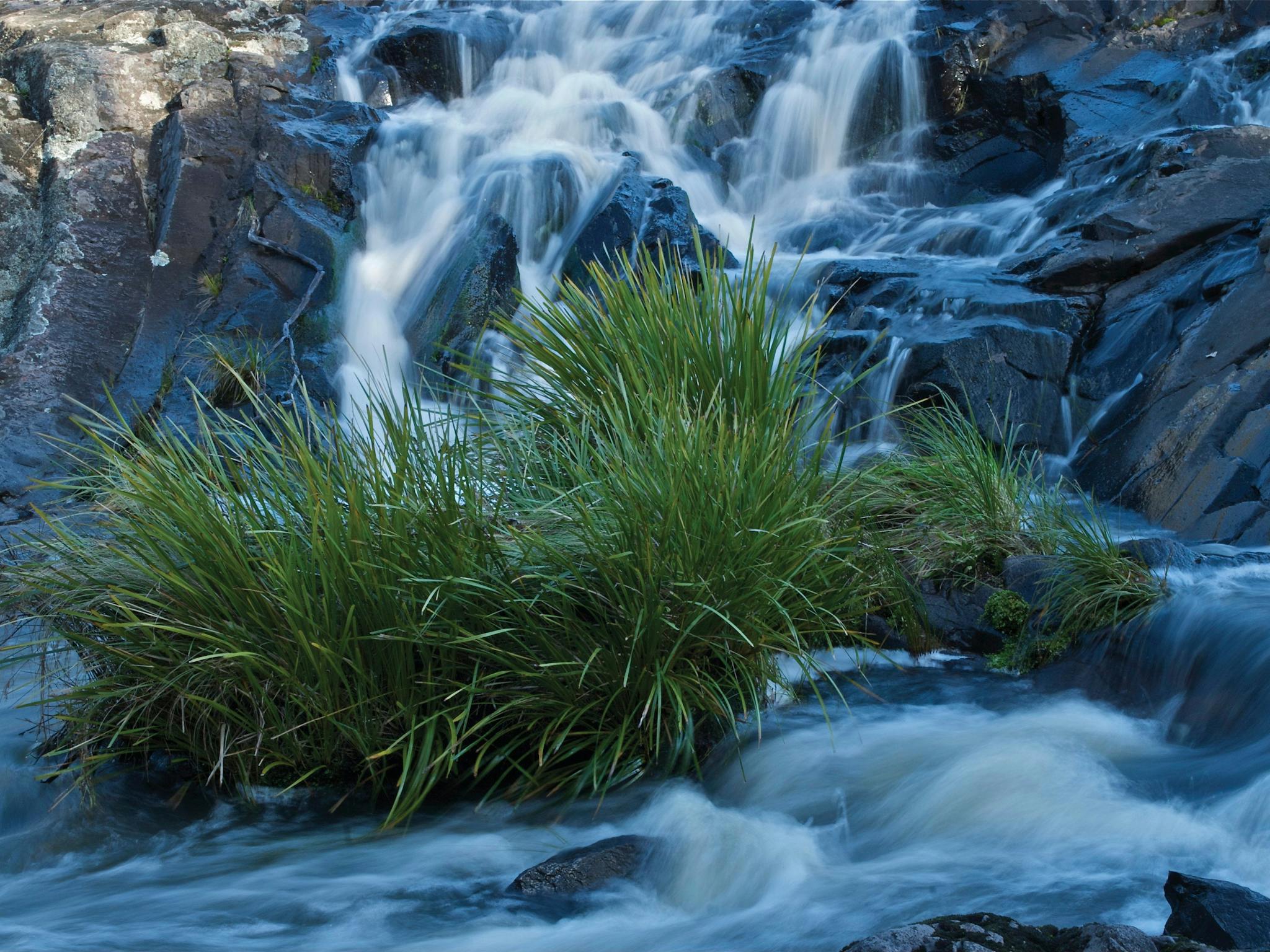 Snowy River National Park