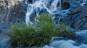Snowy River National Park