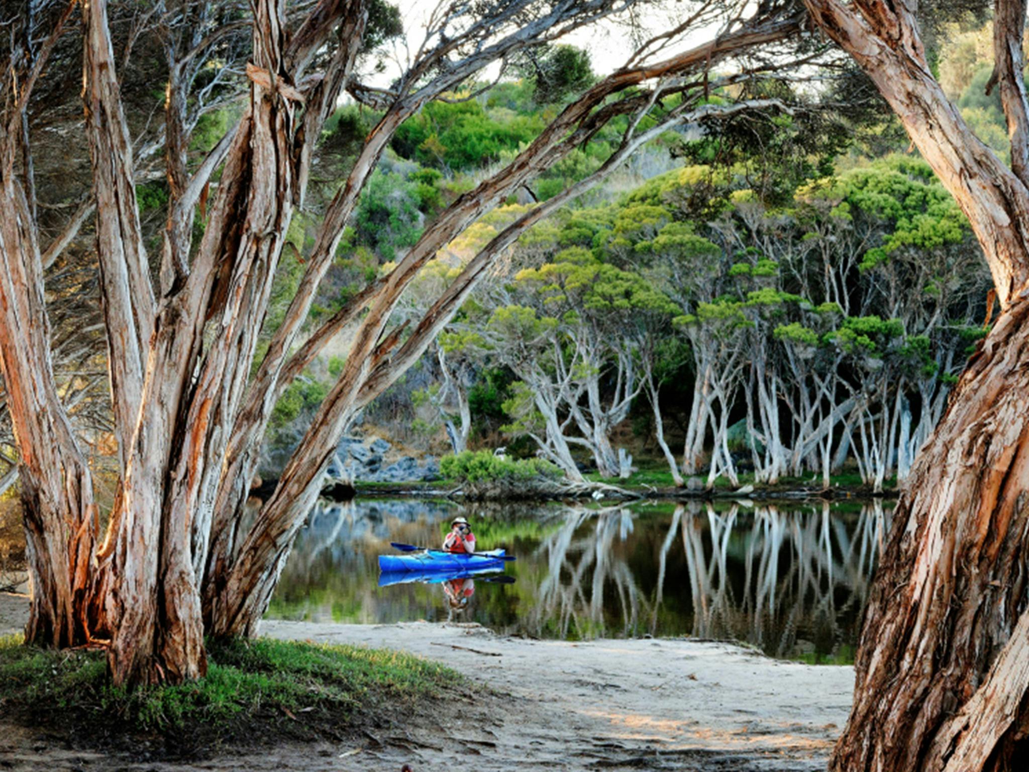 a kayaker cruises along Chapman River